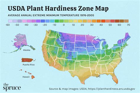 Find Your USDA Plant Hardiness Zone With These State Maps in 2022 ...