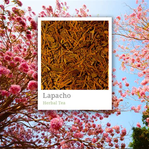 Lapacho – Fuji | Speciality Tea and Coffee