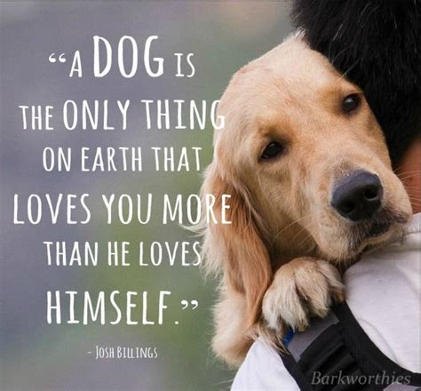 27 Inspirational Dog Quotes about Life and Love | PlayBarkRun