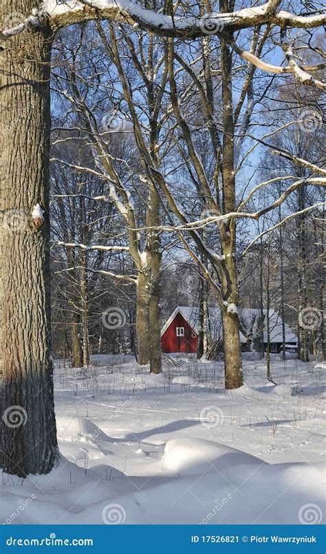 Swedish Hous in Deep Forest Stock Image - Image of frosty, cool: 17526821