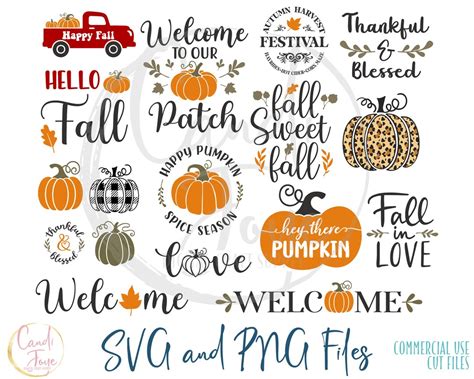 Fall SVG Bundle Pumpkin SVG Bundle Fall SVG Pumpkin Png Pumpkin Clipart ...