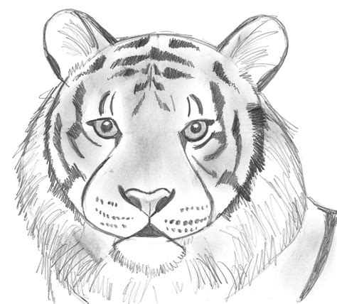 Draw 25 Wild Animals (Even If You Don't Know How to Draw!) - Art Starts