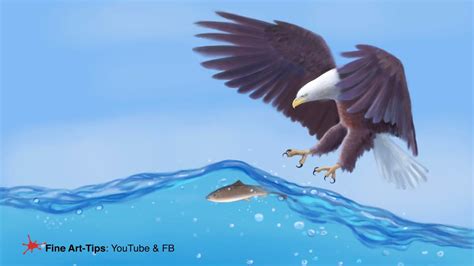 Eagle Catching Fish Drawing