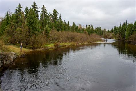 Maine Announces Protections for Critical Brook Trout Habitat - Fly ...