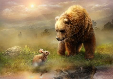 Bunny and Bear - Animals Photo (38870197) - Fanpop