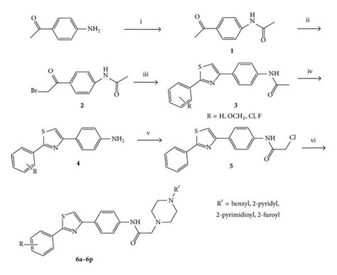 Synthesis of the compounds(6a–6p). Reagents are (i) acetyl chloride ...