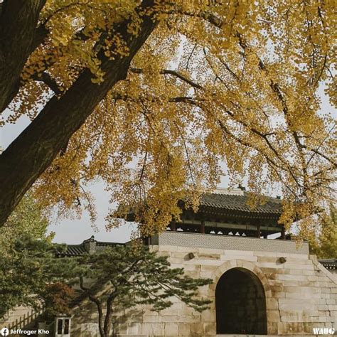 This Autumn, Visit Gyeongbokgung & Take Your Hanbok Shot!