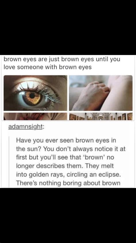 How to Describe Beautiful Brown Eyes