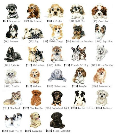 Dog breeds | Dog breed names, Types of dogs breeds, Dog breeds