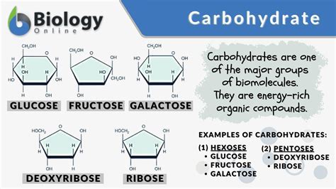 Carbohydrates Definition Examples Structure Types And Functions | The ...