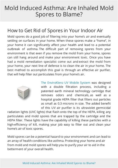 Mold Induced Asthma: Are Inhaled Mold Spores to Blame?