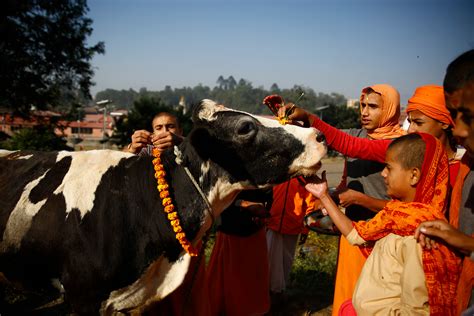 Tihar festival in Nepal on Behance