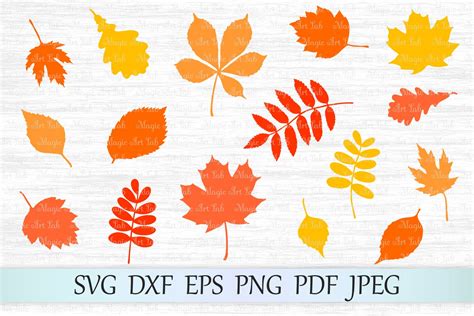 Fall Clipart Silhouette File Leaves Svg Vinyl Autumn Svg Fall Leaves ...