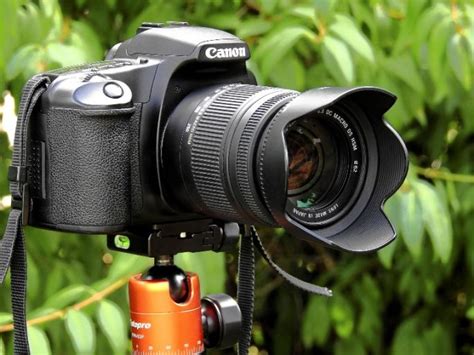 List of Best Camera Brands for Professional Photographers