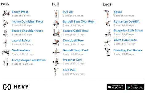 Push Pull Legs (PPL) Training Split - Ultimate Guide with Routines ...