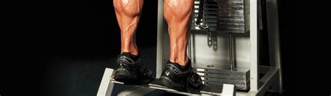 Standing Calf Raise Machine: How To Use, Benefits and Muscles Worked