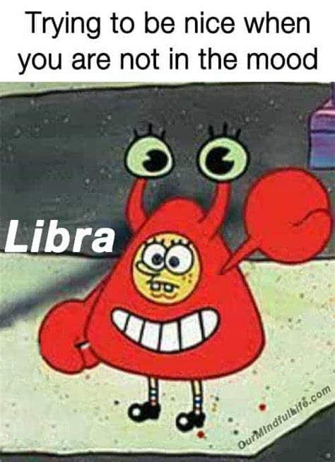 33 Funny Libra Memes That Are Calling You Out - Our Mindful Life