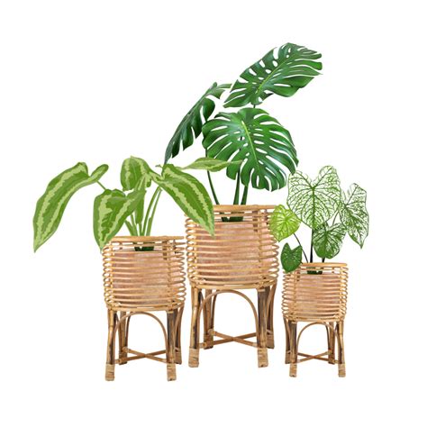 Rattan Planters | The Woven House