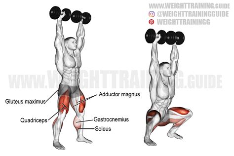 Dumbbell overhead squat instructions and video | WeightTraining.guide