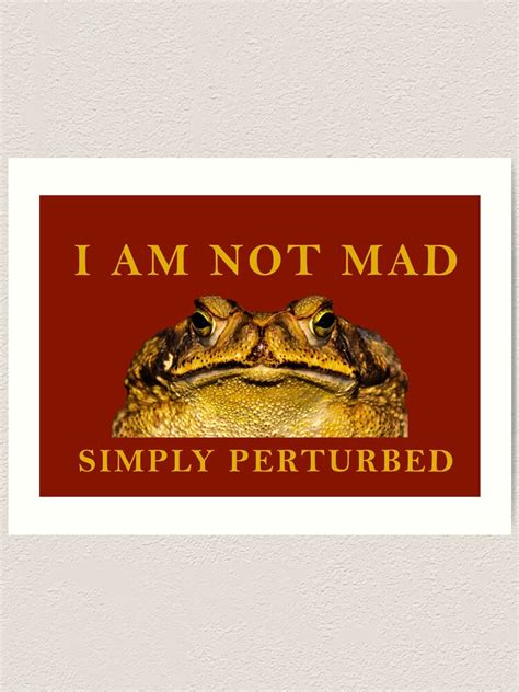 "Funny Angry Frog meme" Art Print by RunThermal | Redbubble