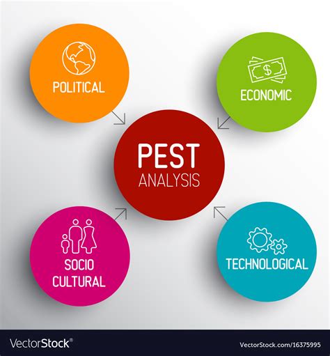 Pest diagram schema Royalty Free Vector Image - VectorStock