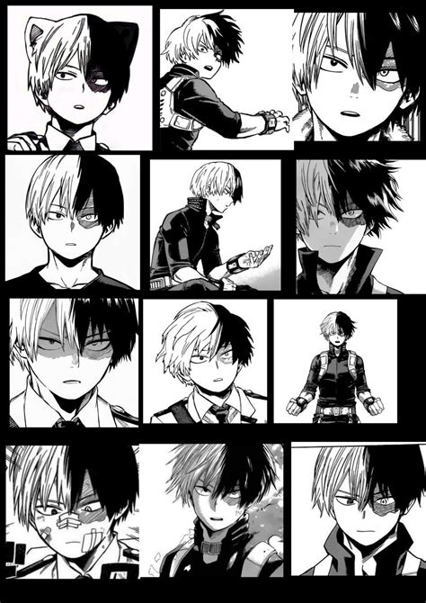 Shoto Todoroki manga pfps | Todoroki mangá, Manga, Hero costumes