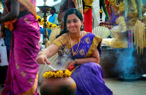 Pongal - The Festival of Harvest in Tamil Nadu Culture