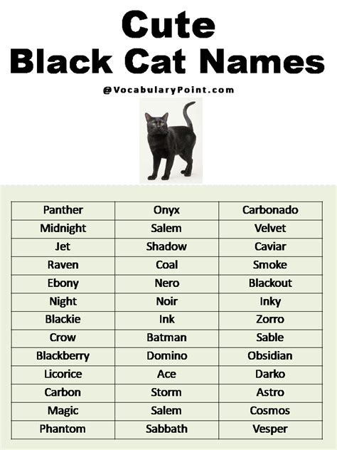 Most Popular Cute Cat Names - Vocabulary Point