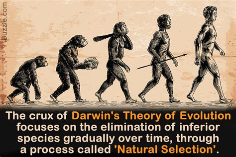 Charles Darwin: An Introduction to the Theory of Evolution