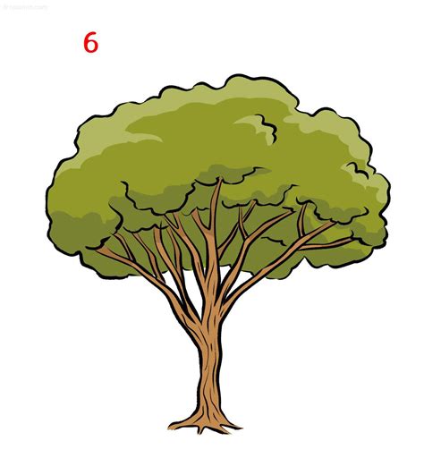 Easy Tree Drawing » How to draw a Tree