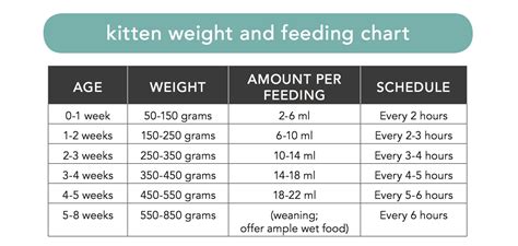 Canned Cat Food Chart - Cat Mania