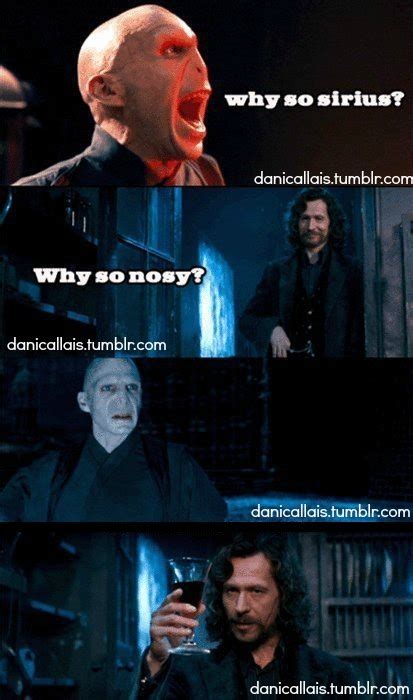 harry potter memes on Tumblr