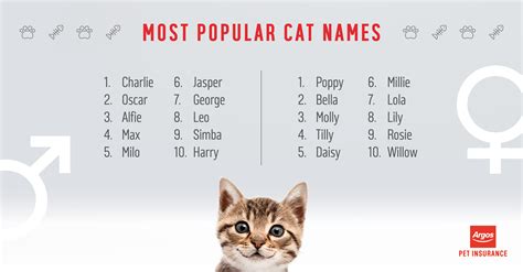 Good Cat Names Male - Cat's Blog