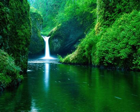 Jungle Waterfall Wallpapers - Top Free Jungle Waterfall Backgrounds ...