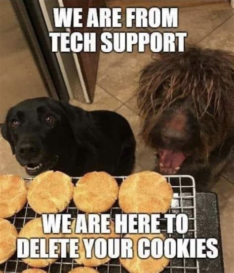 Everyone is into tech support these days : r/funny