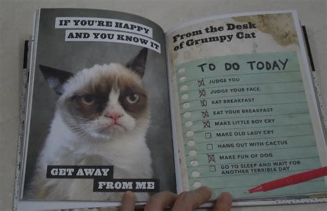 Interesting Corner of Me : Grumpy Cat: A Grumpy Book