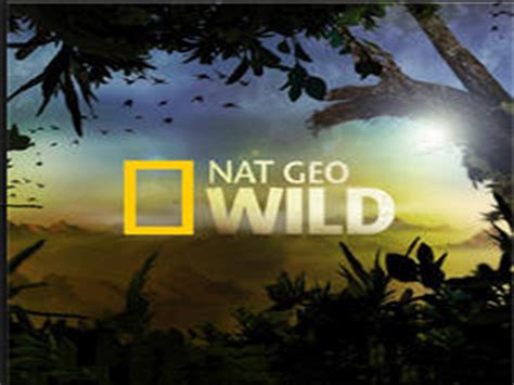 Nat Geo Wild Logo