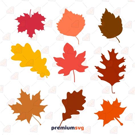 Autumn Colorful Fall Leaves SVG Bundle | PremiumSVG