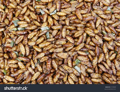 A Pile Of Deep Fried Bugs - Used As A Kind Of Snack In Asia Stock Photo ...