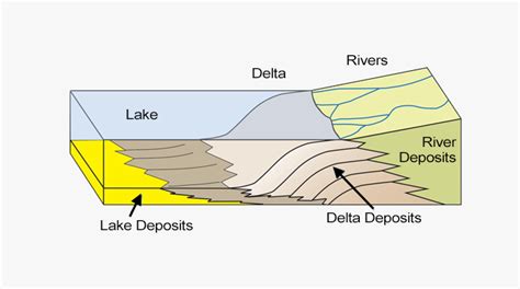 23+ River Delta Diagram - GianniKaley