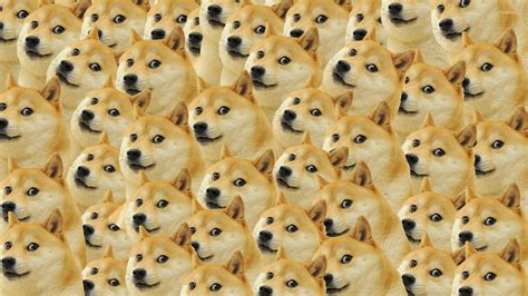 Doge Meme Wallpaper - WallpaperSafari