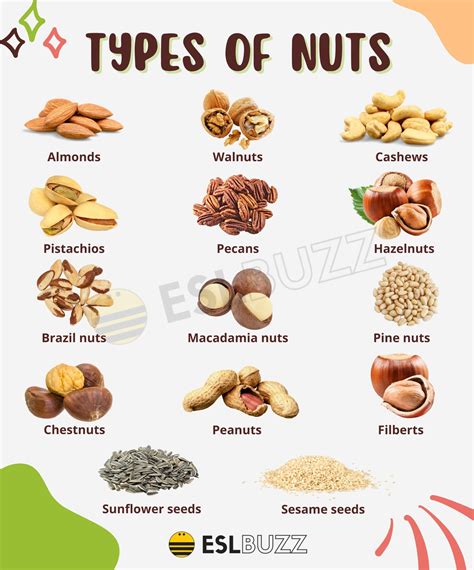 Types of Nuts: From Almonds to Walnuts and Their Health Benefits - ESLBUZZ