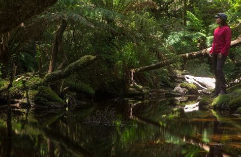 Tasmanian National Parks Passes - TasVillas Group