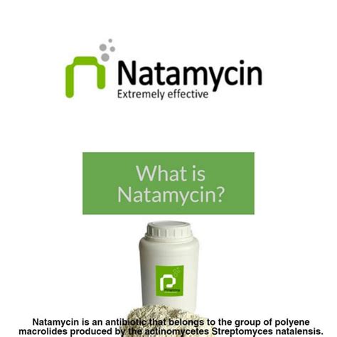 What is Natamycin? | PDF