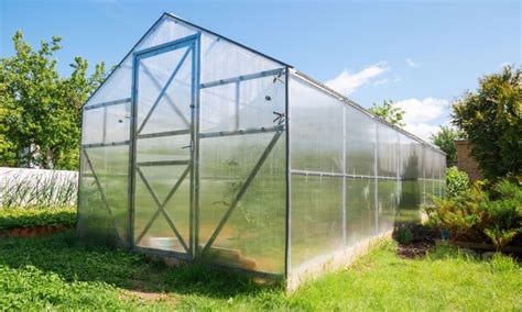 Twin Wall Polycarbonate Greenhouse Panels - Wall Design Ideas