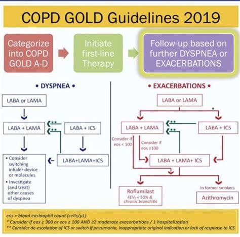 Copd Guidelines Asthma Treatment Ambulatory Care Copd Treatment ...