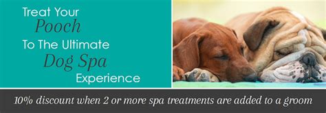 Luxury Dog Spa Treatments | Pooch Dog Spa