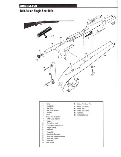 Parts of the Bolt Action 22 Winchester Rifles