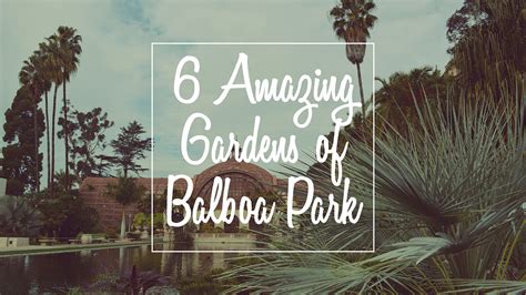 6 Amazing Gardens of Balboa Park — Creative Boulevards