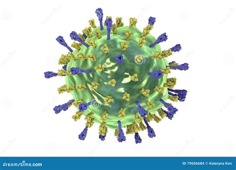 Mumps virus structure stock illustration. Illustration of infection ...